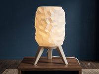 Tripod Table Lamp — Studio Spotlight