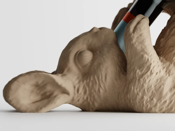 TipsyBun — Bunny Wine Bottle Holder